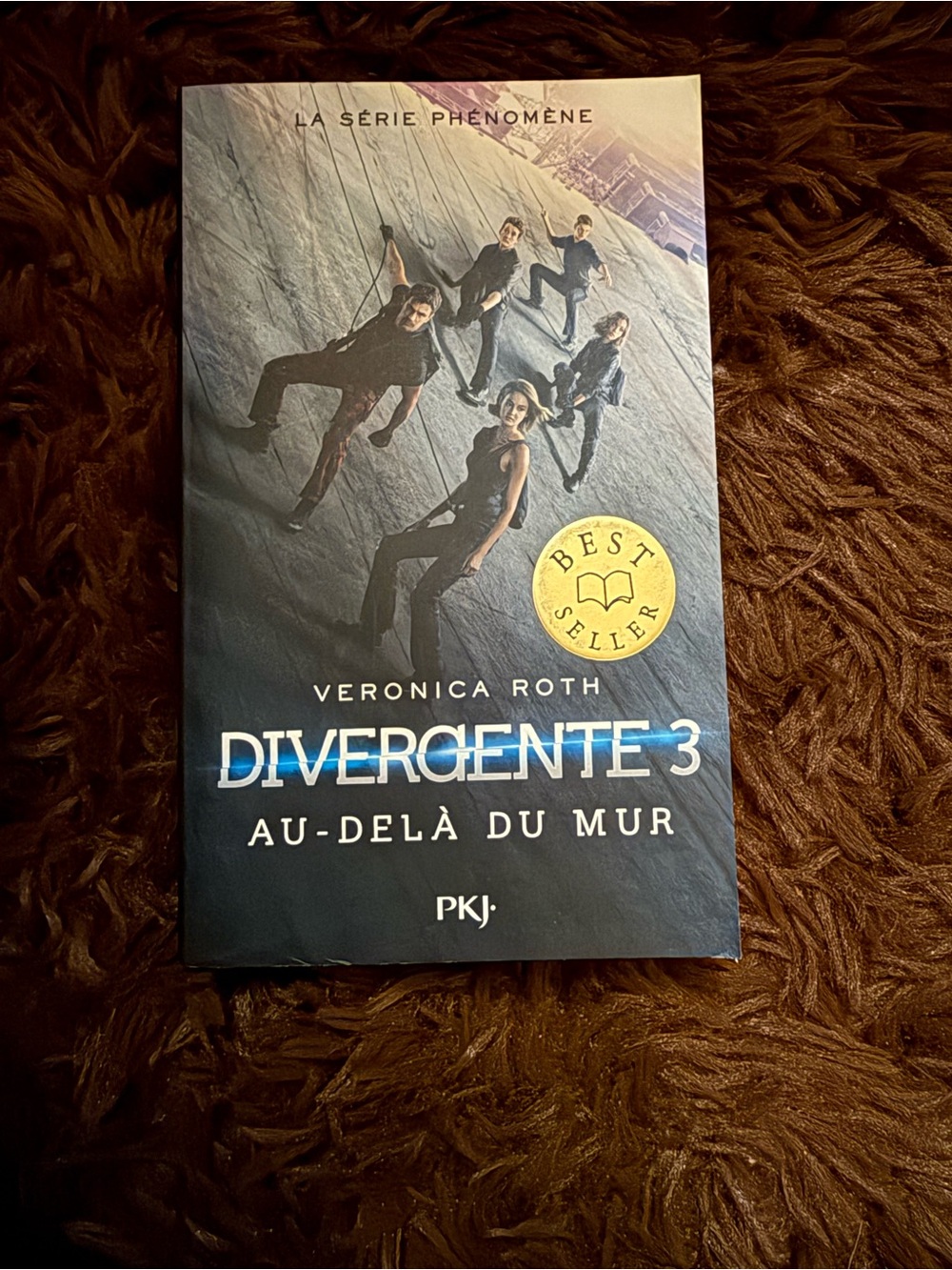 Divergent : Au-Delà du mur- Livre 3